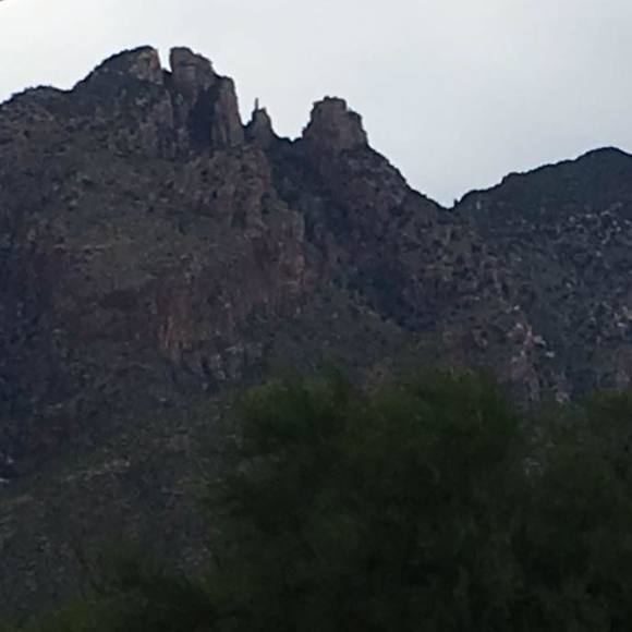 Meet your Posher, Marlene - Picture 1 of 1